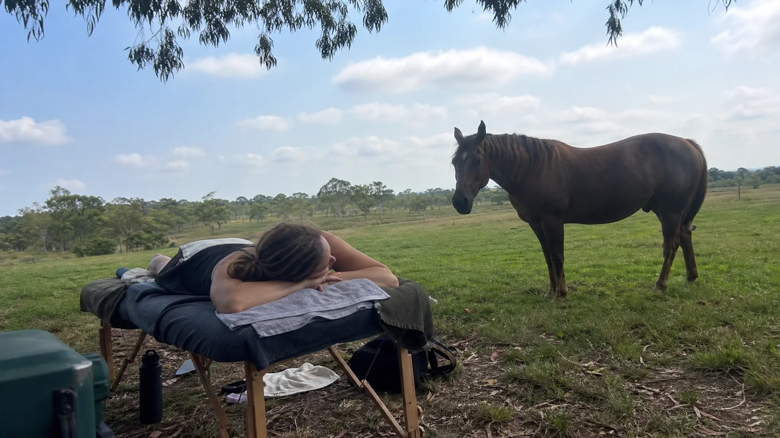 Reiki With The Herd