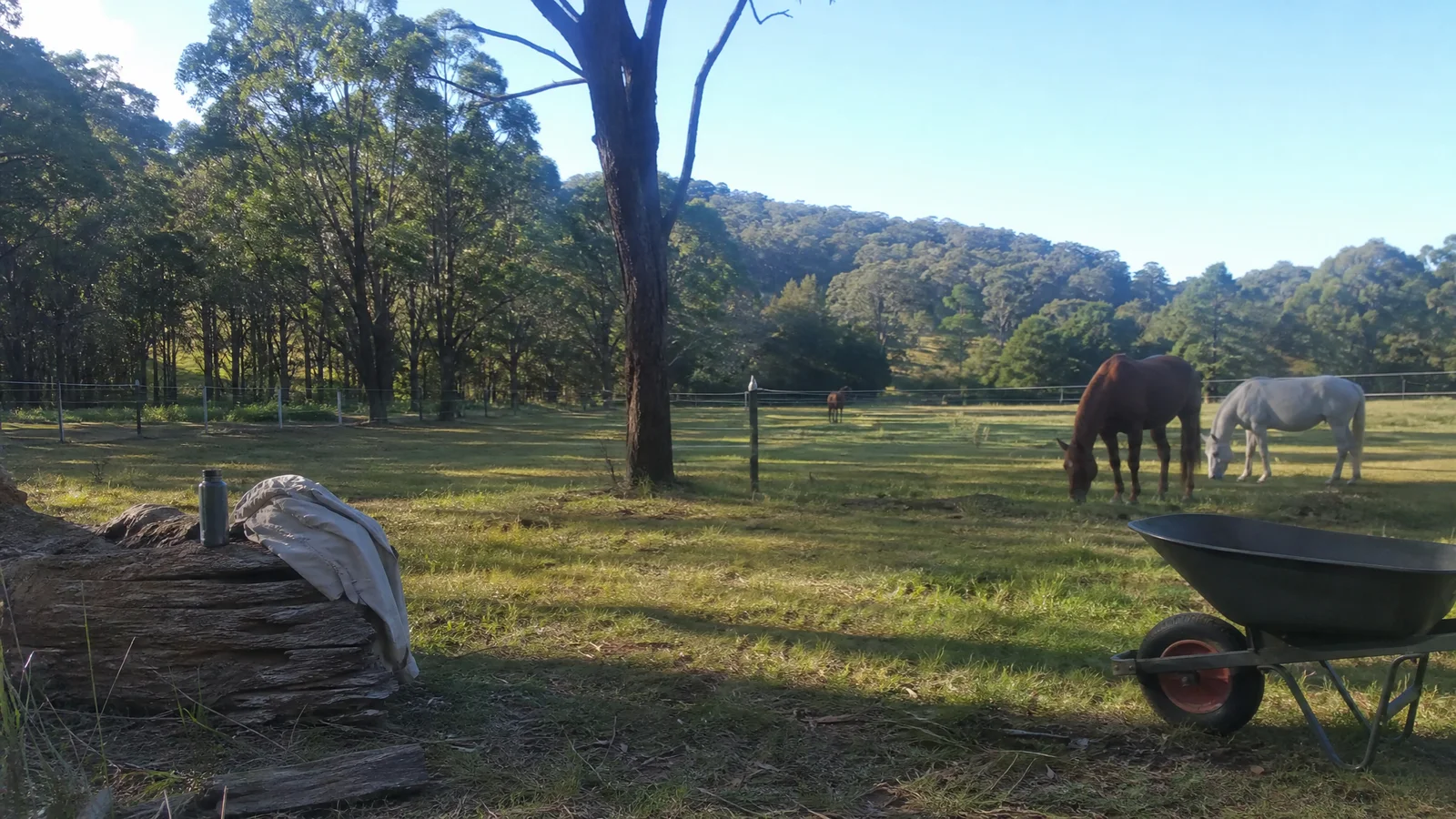 Equine Healing Retreats