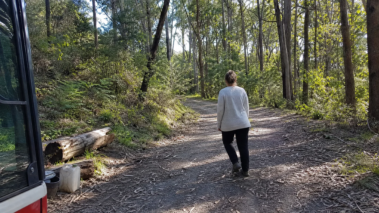 Woman walking a forest track at the edge of State Forest in soft morning light, unhurried, Highlands eucalypts
